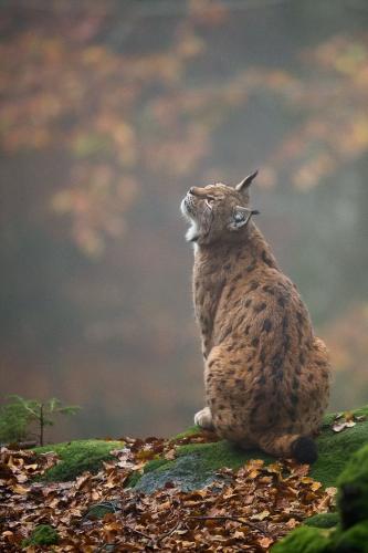 17:35:22 GMT-0600 (CST)