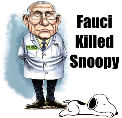 image_1636113588.122