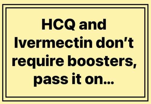 photo_2021-11-13_11-46-04