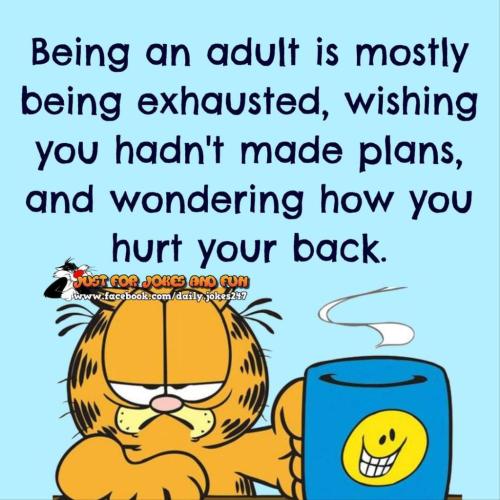 FB_IMG_1637348715086