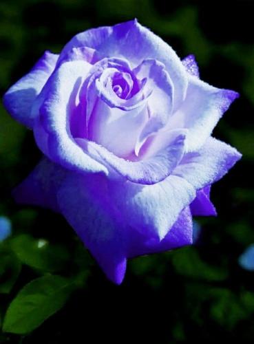 16:55:34 GMT-0500 (CDT)