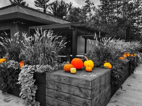 Screenshot_20211113-191907_Facebook