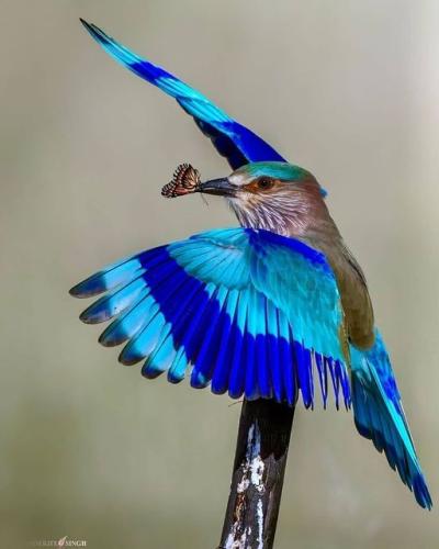 260268976_462119681958377_3439824617865783002_n