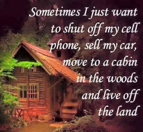 256218273_444999383648586_9013848602294076255_n