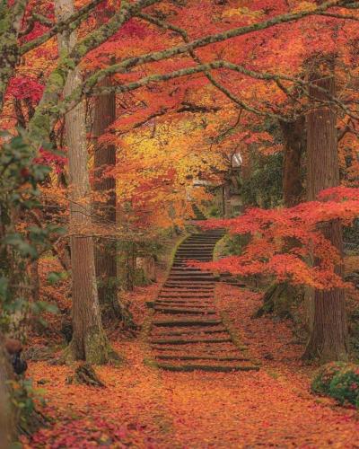 258076841_1283844145465927_6244089091717335161_n