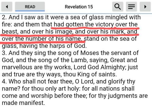 Screenshot_20211111-235603_Bible~6