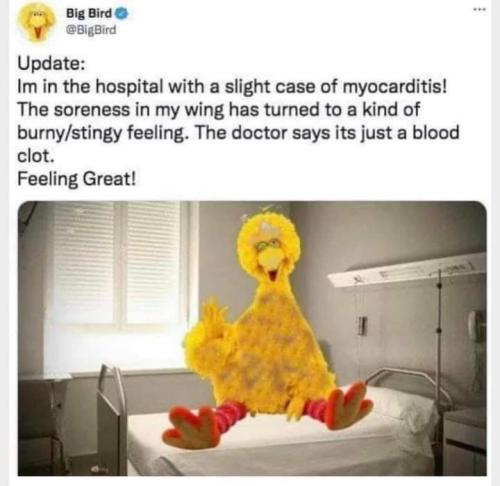 12:19:47 GMT-0600 (CST)