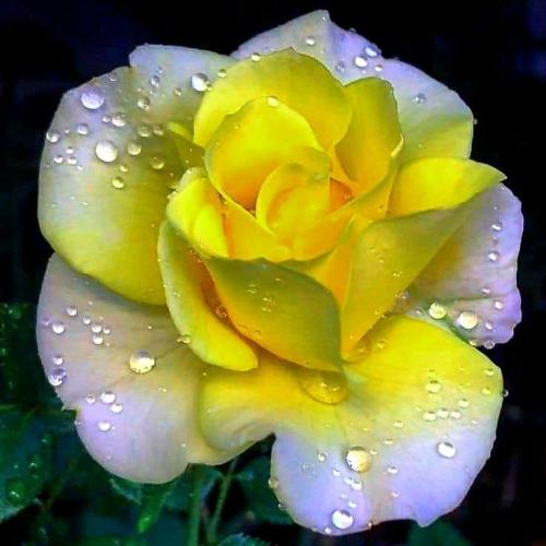 06:40:04 GMT-0500 (CDT)