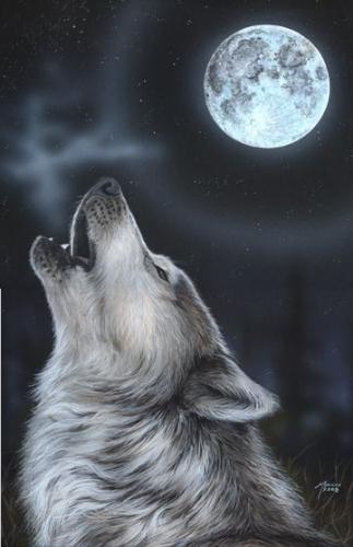 20:16:06 GMT-0500 (CDT)