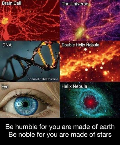 FB_IMG_1637450134752