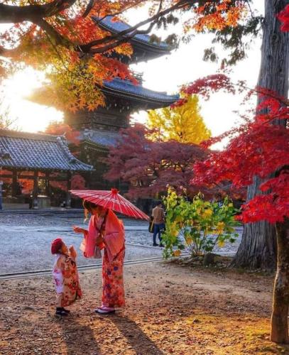 255782964_1846669325541363_4689418184453384207_n