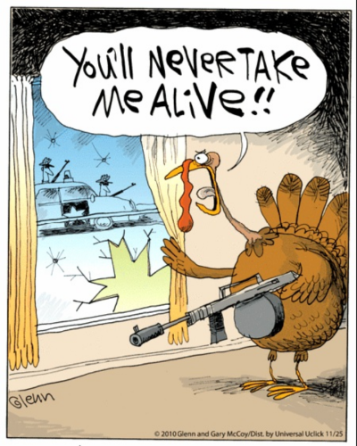 sketch-1637882977570