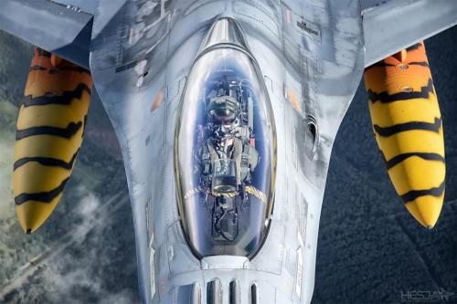 259367065_446663226810056_2683097815925187495_n