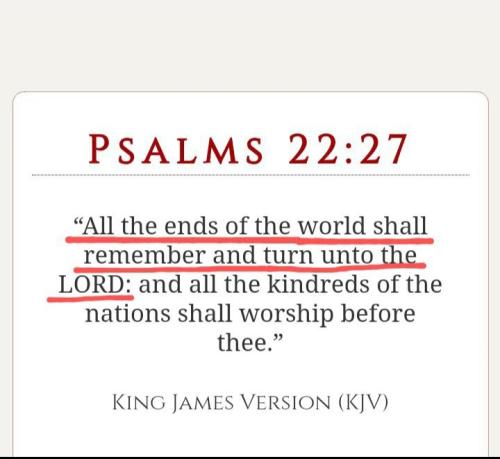 Screenshot_20211115-121413_Photos