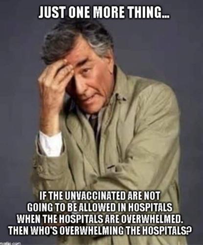 FB_IMG_1637061235853