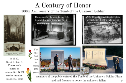 UnknownSoldier_100Years