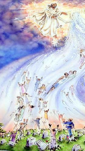 Screenshot_20211113-220131_DuckDuckGo