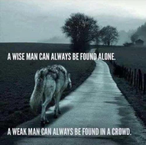 a wise man can always be found alone