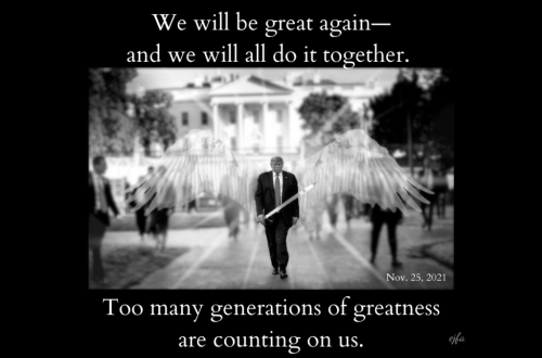 WeWillBeGreatAgain_Generations