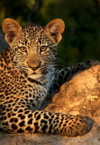 tumblr_mqmbbqRUTX1re4amro1_540