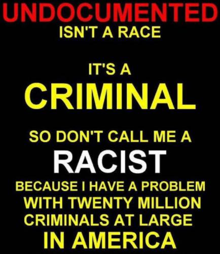 illegal immigration255