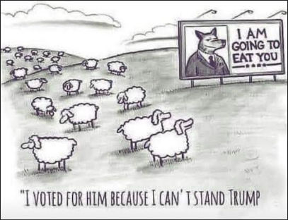 sheeple44