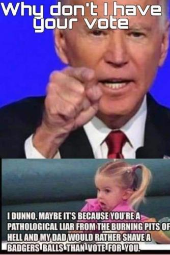 biden vote why