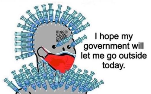 vaccine443