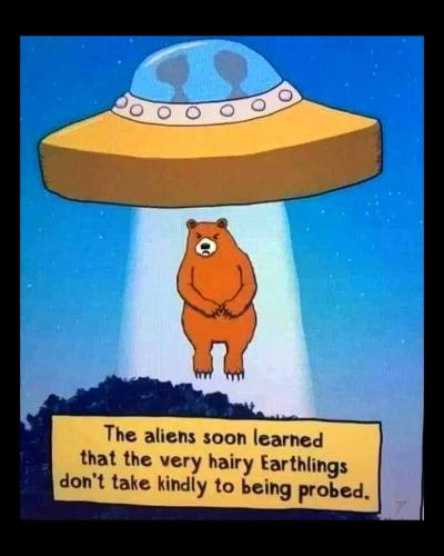 Cartoon - Aliens Bear Probed