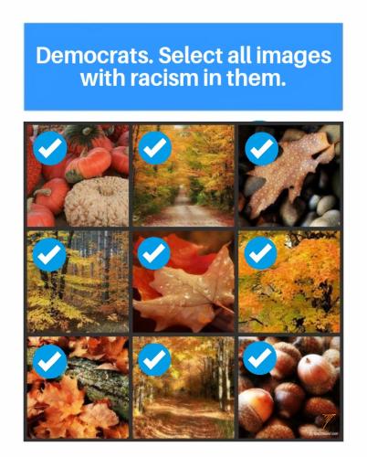 Political - Dems Select Images Racism 3