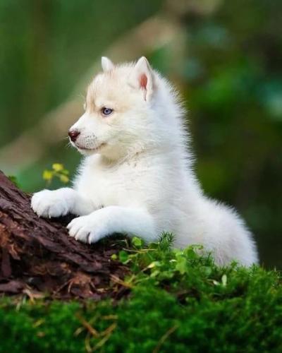 260358413_463265048510507_4905556333904370740_n