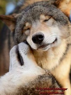 fbdb27a891bcf9636ee0657012d7dda8