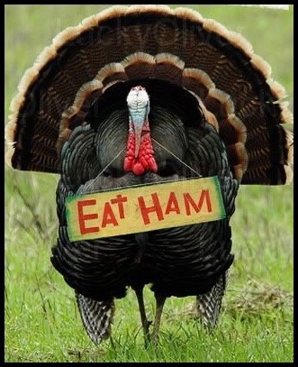 tumblr_97a1a35c6d6854ac21d7459f865099ae_393c8dfb_400