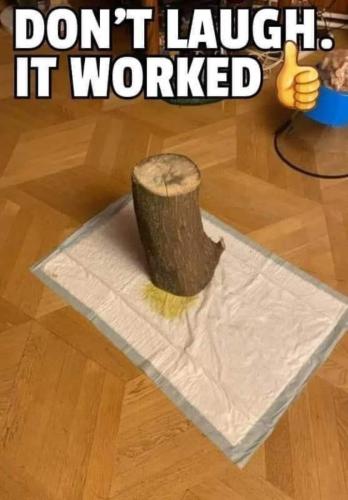 14:16:51 GMT-0500 (CDT)