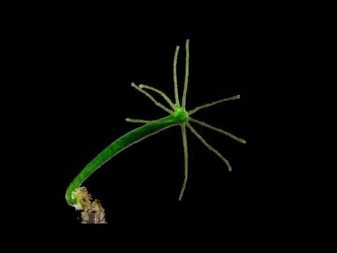 09:48:02 GMT-0500 (CDT)