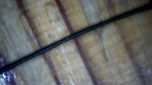 Carbon Fullerene Rods (2)