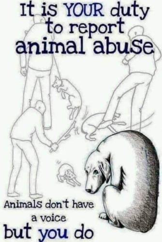 FB_IMG_1635331424595