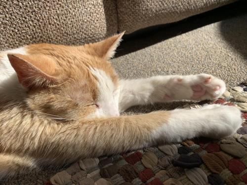 BDADD155-8396-4B7B-9D8E-EBB00D46D525