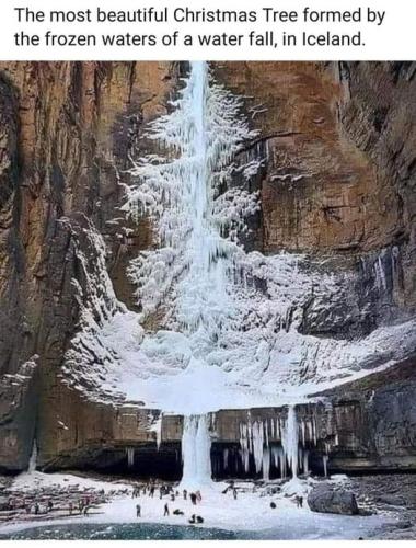 christmas_tree_iceland