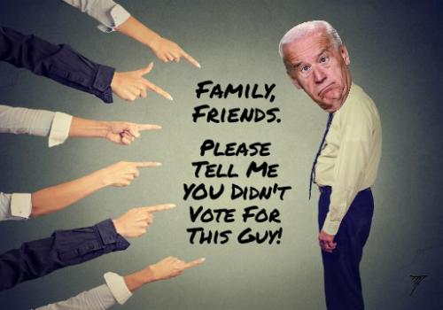 Political - Biden Fam Friends Didnt Vote For