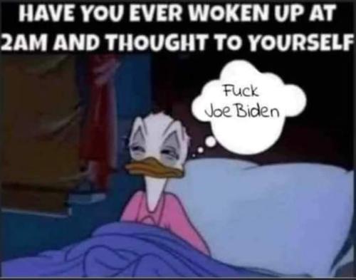 FB_IMG_1636037464584