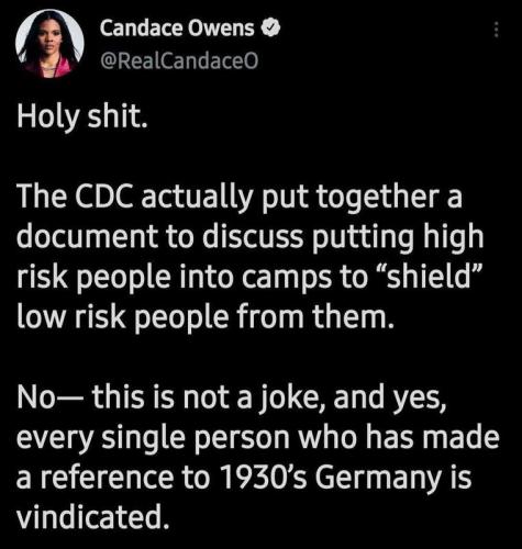 Candace Owens concentration camps