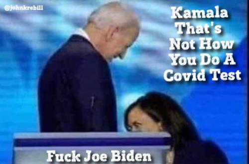 image_1638108728.726