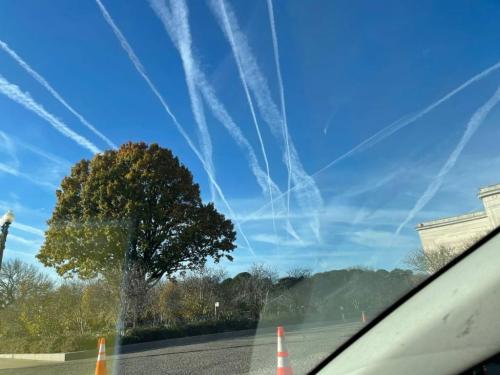 IMG_20211120_091947_668