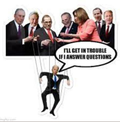 image_1636331354.596