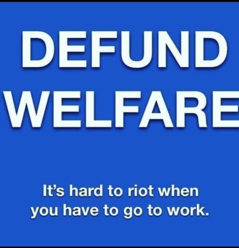 img (49)