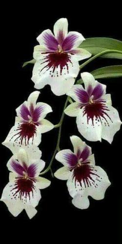 19:18:41 GMT-0600 (CST)