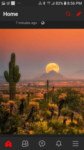 Screenshot_20210929-205602_Wimkin Uncensored