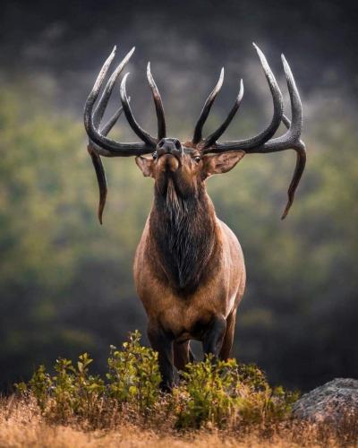 257364632_7035697199777314_6074183616570175075_n