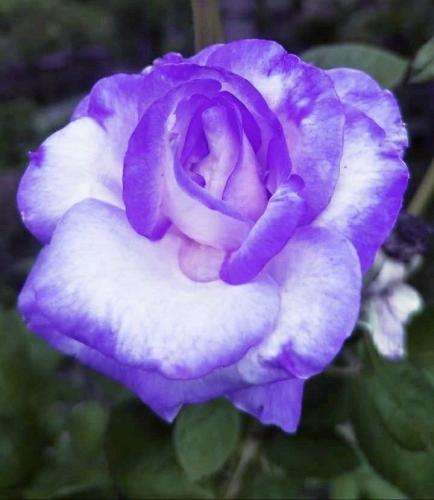 22:05:05 GMT-0600 (CST)